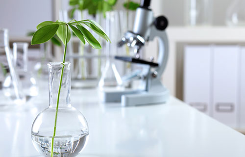What is the use of plant extracts in skin care products?